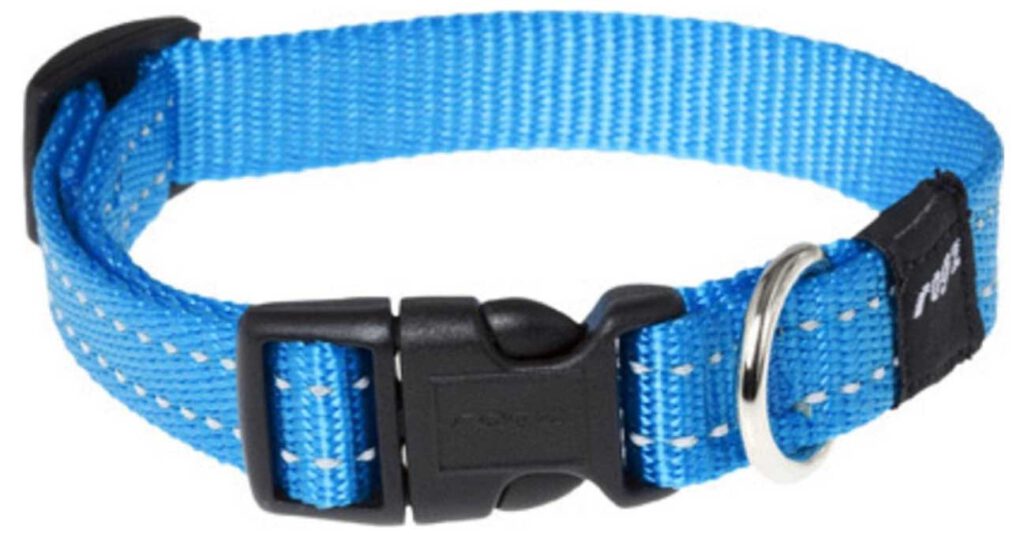 Golden Retriever 6x Beste Halsband, Riem en Tuig 2021